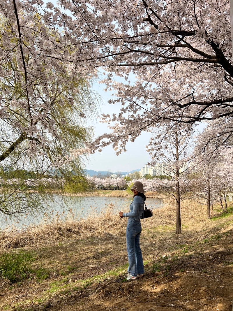 사진 8