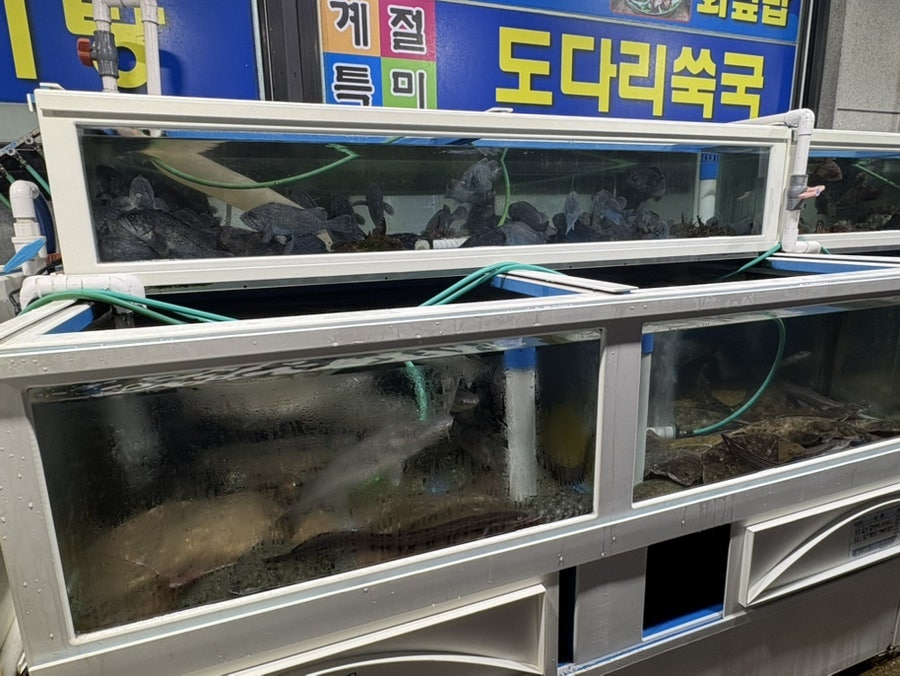 동운횟집 사진 3