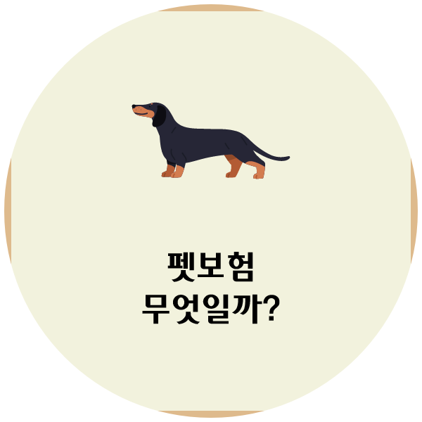 사진 7