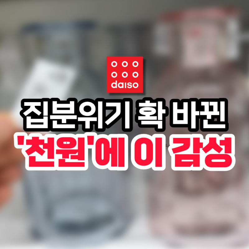 '이거' 하나로 집 분위기 씹어먹음 '천원' 다이소 유리화병 꽃병