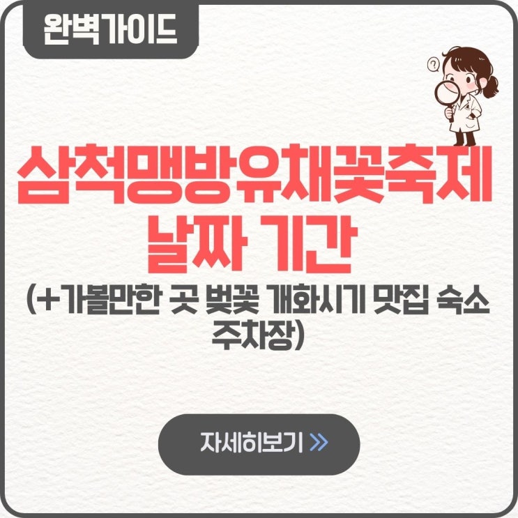  삼척맹방유채꽃축제 날짜 기간 실시간 가볼만한 곳 벚꽃 개화시기 맛집 숙소 주차장