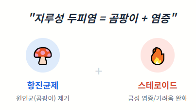 [지루성 두피염 2탄] "지루성 두피염 약, 뭐가 다른가요?" 약사가 정리하는 치료 성분 & 제품 ....