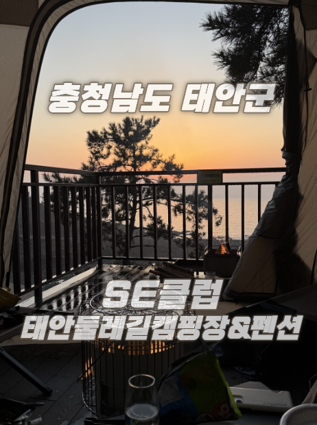사진 5