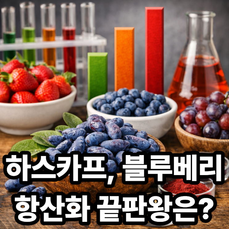  하스카프베리 ORAC 수치 분석  항산화 능력, 다른 베리와 비교