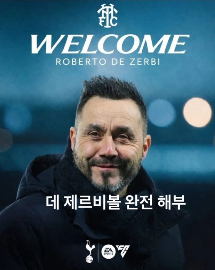  데 제르비볼 완전 해부 - 토트넘에 심으면 어떻게 되나