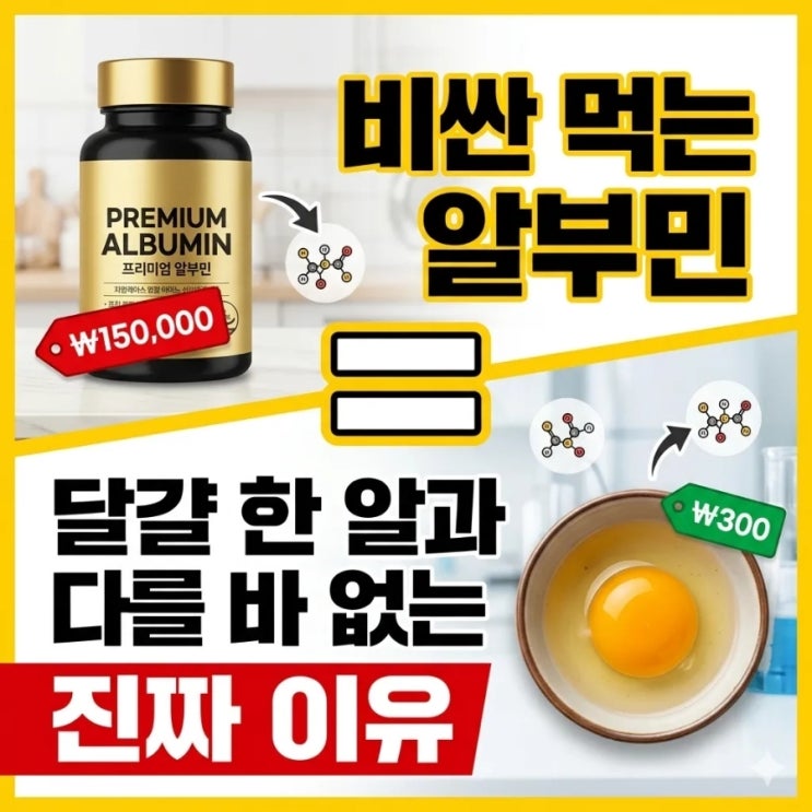  비싼 먹는 알부민, 달걀 한 알과 다를 바 없는 진짜 이유