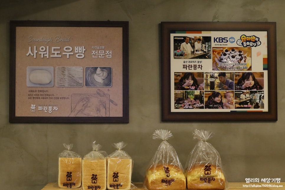 파란풍차 사진 5