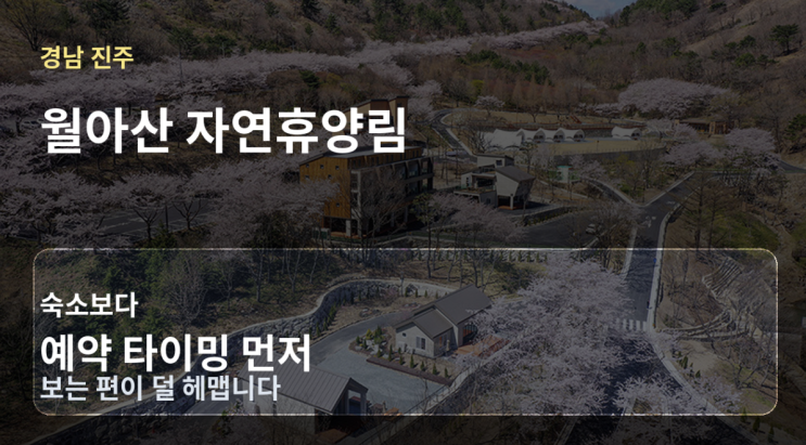  경남 진주 월아산 자연휴양림, 숙소보다 예약 타이밍이 먼저 중요한 이유