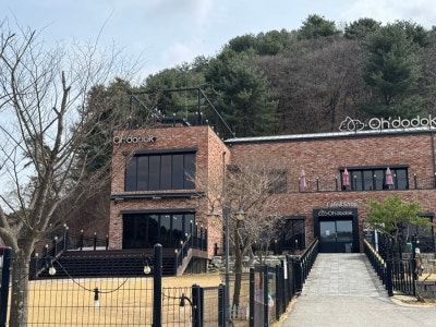 오도독