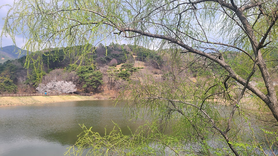 일심제 사진 1
