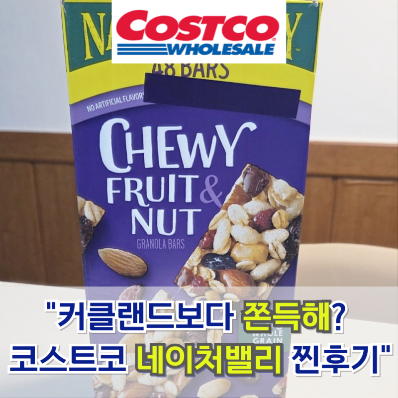 [코스트코 간식 추천] 쫀득함이 다른 네이처밸리 트레일믹스바 내돈내산 후기
