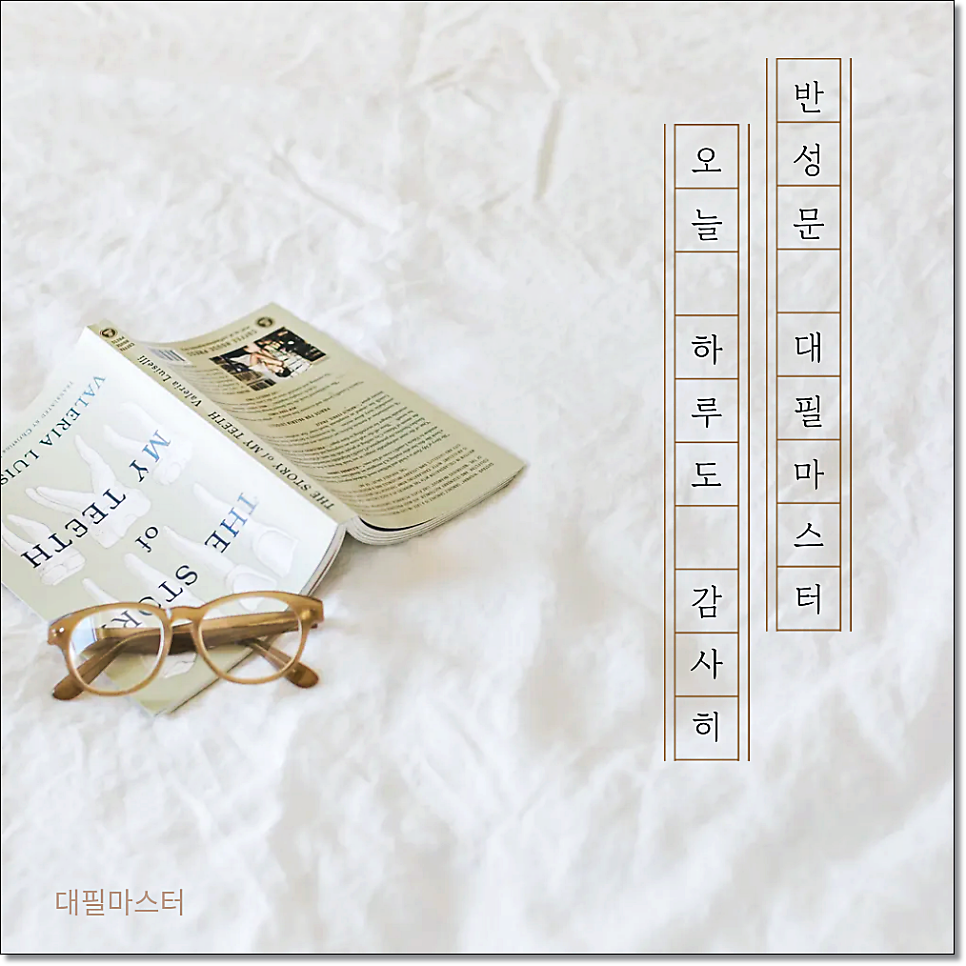 한국에서 음주운전 재범방지교육 효과있을까? 관련 사진