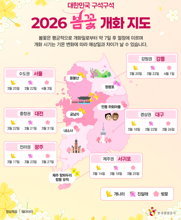  고온으로 빨라진 2026 벚꽃 개화시기, 서울은 왜 더 빨랐나