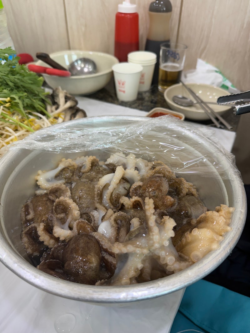 노량진수산시장 제철 알쭈꾸미 시세 분석 및 시식 후기 (봄쭈꾸미, 전라도집, 노량진 초장집 ....