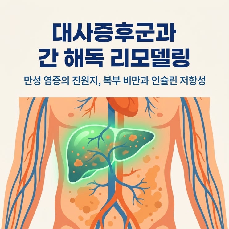  내장지방과 인슐린 저항성, 만성 염증의 진원지가 되는 복부 비만
