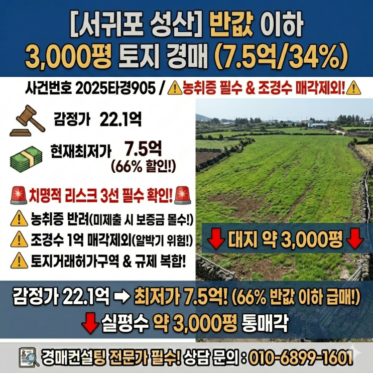  제주 서귀포 성산읍 수산리 토지 매매 3000평 임야 급매 반값 이하 경매 권리분석 조경수 매각제외 농취증 리스크 2025타경905