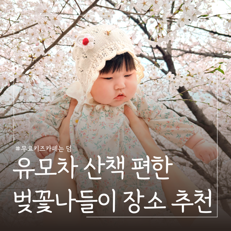  아기랑 벚꽃나들이 추천 중랑천벚꽃길 휘경수변공원 (3/31 기준)  주차꿀팁, 무료 키즈카페까지