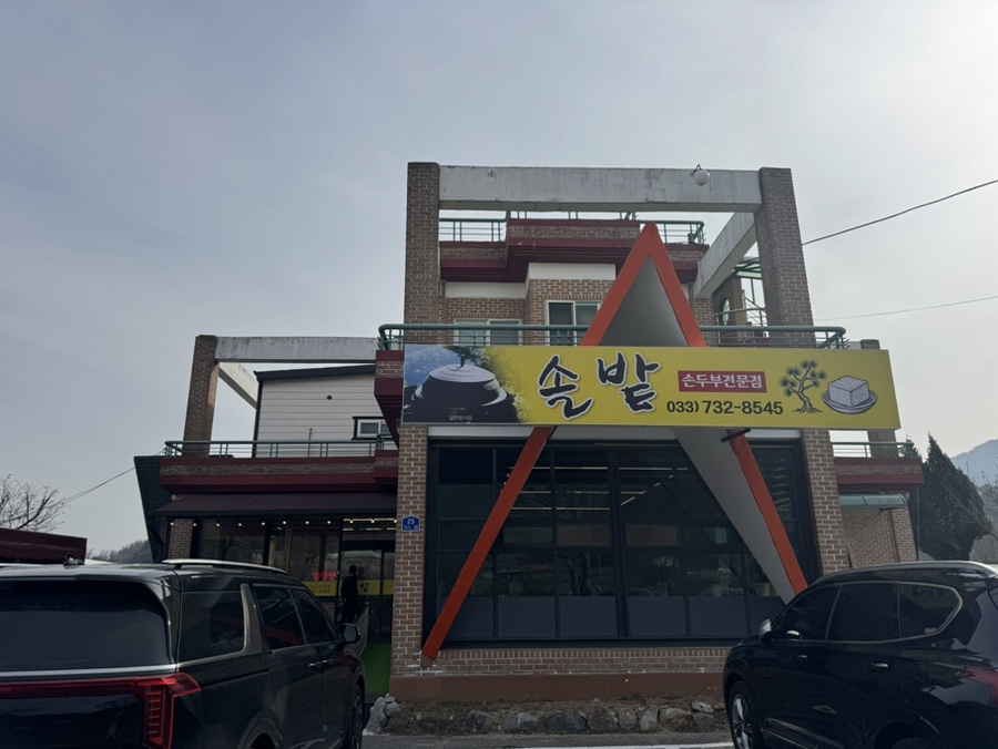 솔밭 사진 2