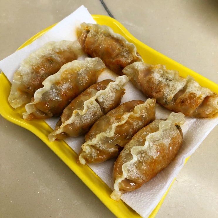  식사이론대파김치만두 국산김치 넣은 고기만두