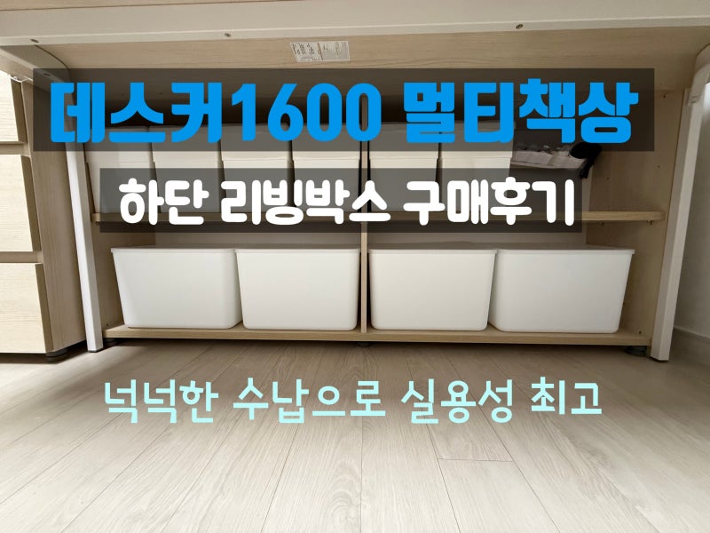 데스커 1600폭 6단 멀티책상 아래 칸 수납 후기 블랑코펜트리리빙박스 대 사이즈 실사용 리뷰
