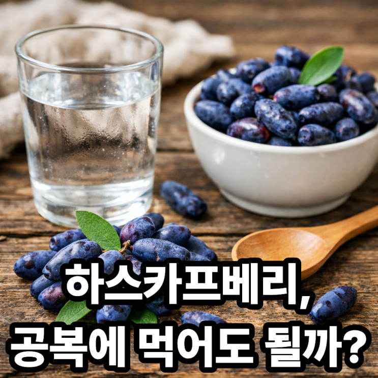  하스카프베리 공복 섭취 괜찮을까? 부작용과 안전한 먹는 방법 정리