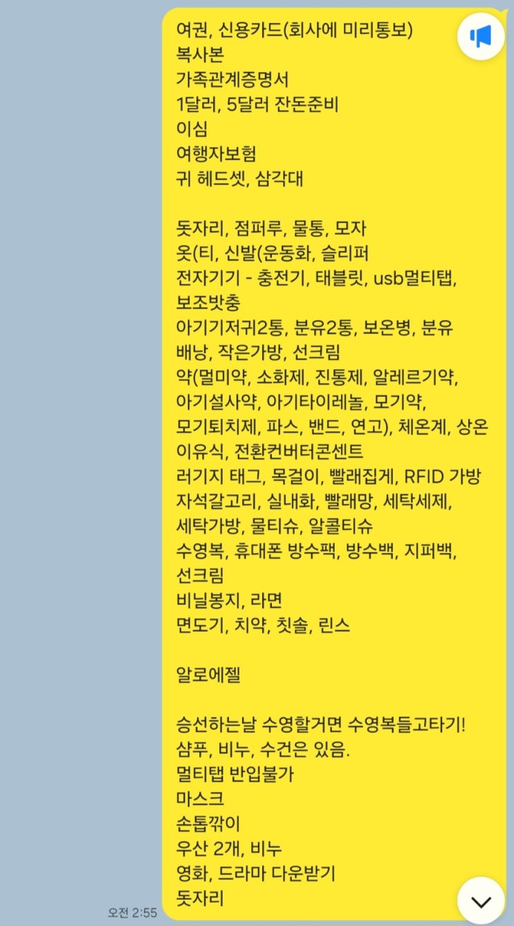  크루즈여행 준비물 체크리스트(아기랑