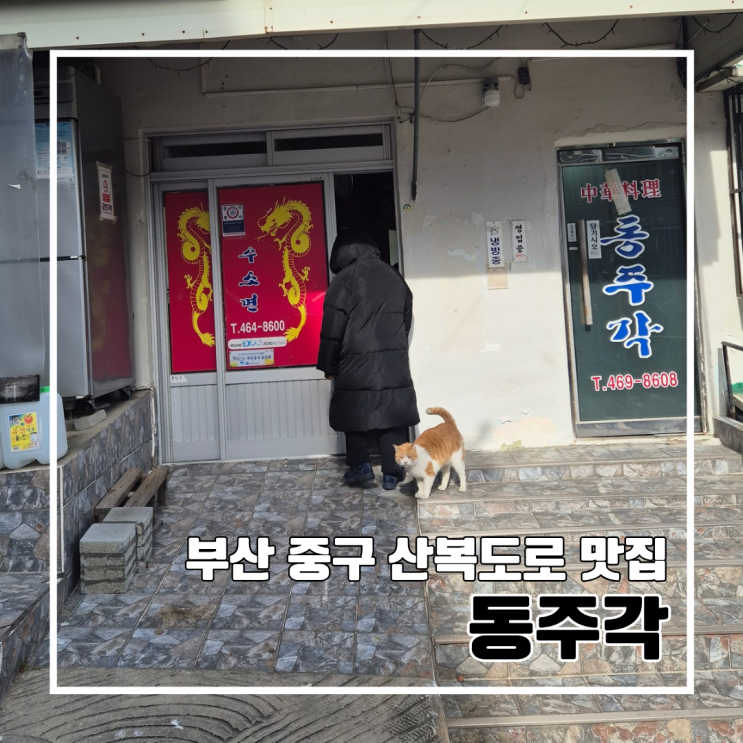  부산 산복도로 민주공원 인근 중식 맛집 동주각 l 주차 올해의 또간집 스타트