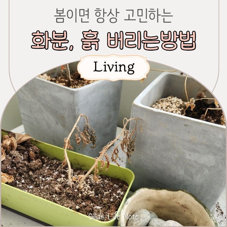 화분 흙 버리는방법 | 봄이면 고민하게되는 화분정리 꽃 식물 버리는방법