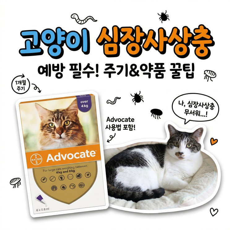  고양이 심장사상충약 주기 놓치면 안 되는 이유와 최적의 루틴