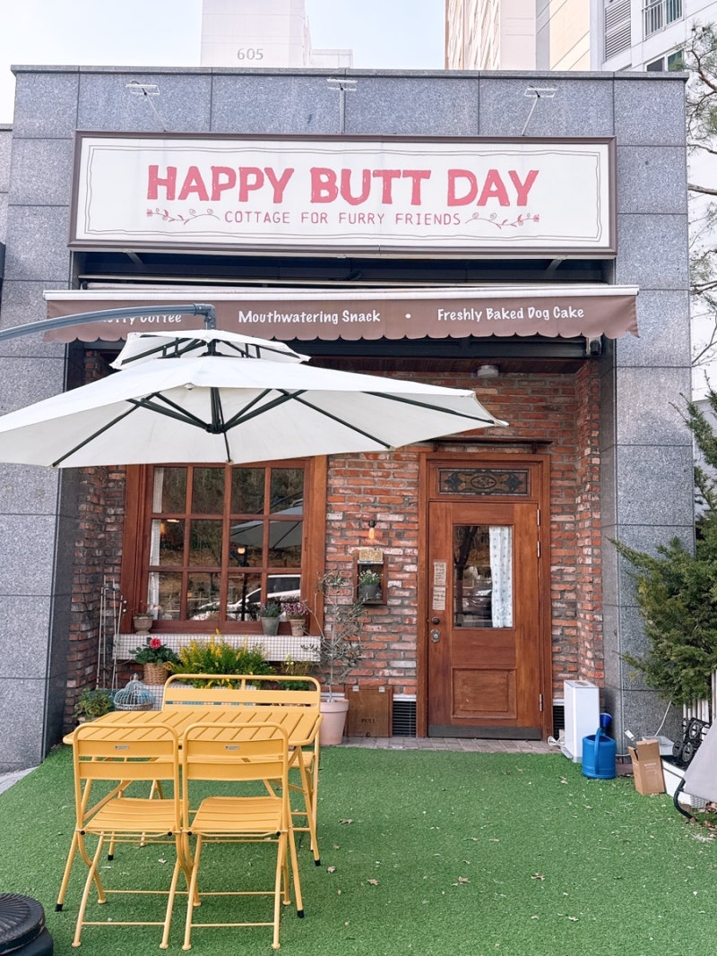 해피버트데이