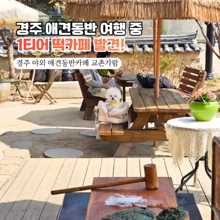  경주 야외 애견동반 카페 추천  교촌마을 맛집 '교촌가람' 인절미 아이스크림 먹고 떡메치기 체험까지! ️