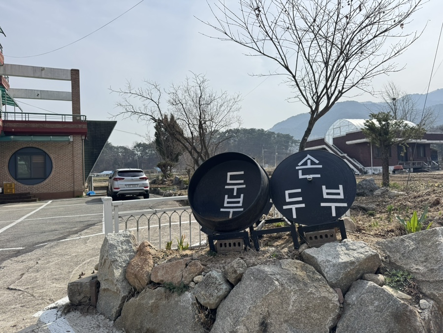 솔밭 사진 1