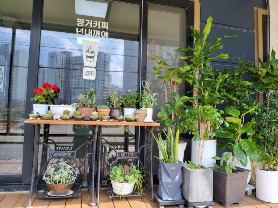 핑거커피 사진 5