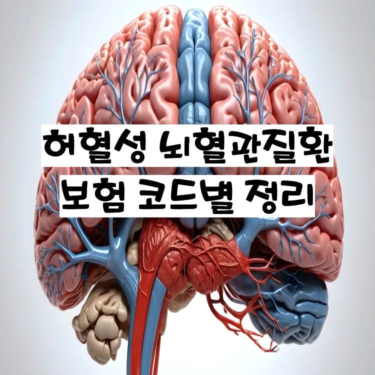 뇌졸중,뇌경색 허혈성 뇌혈관질환 I63, I67 차이가 뭔가요? (뇌혈관질환 코드 포함)