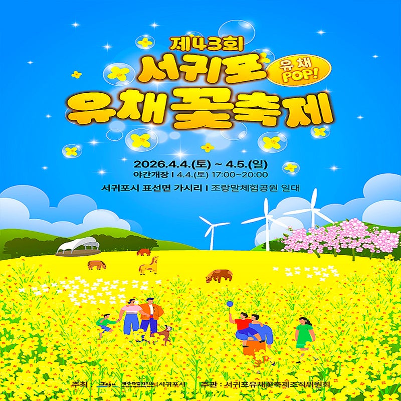 제주도 서귀포 유채꽃축제 2026:  가볼 만한 곳 가시리 조랑말 체험공원 일정 셔틀버스 야간개....