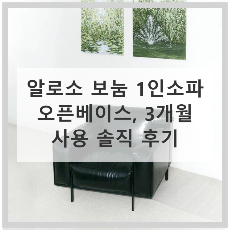 알로소 보눔 1인소파 직접 써본 솔직 사용기