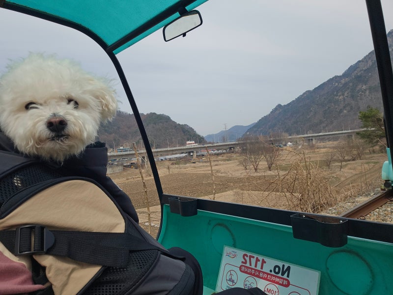 Kim Yu-jeong Rail Bike with Your Dog: Recommended Chuncheon Travel Destination & Parking