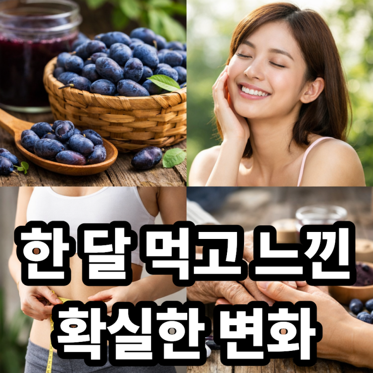  하스카프베리 섭취 후기, 꾸준히 먹어본 변화