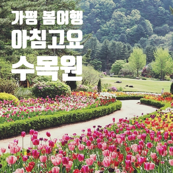  [1년 전 오늘] 봄 여행지(블로그씨) 가평여행지 아침고요수목원 봄에 스며들 준비