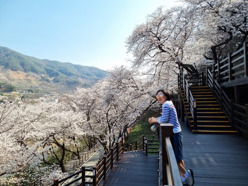 사진 6