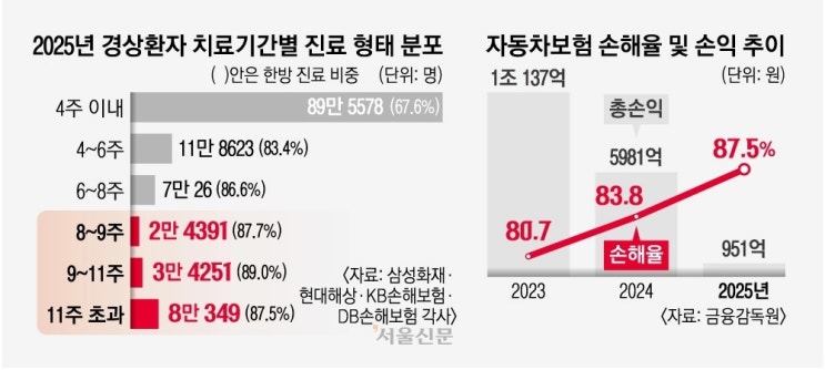  [자동차보험] '8주 룰' 시행 연기 논란... 나이롱환자 살판. 손해율 악화