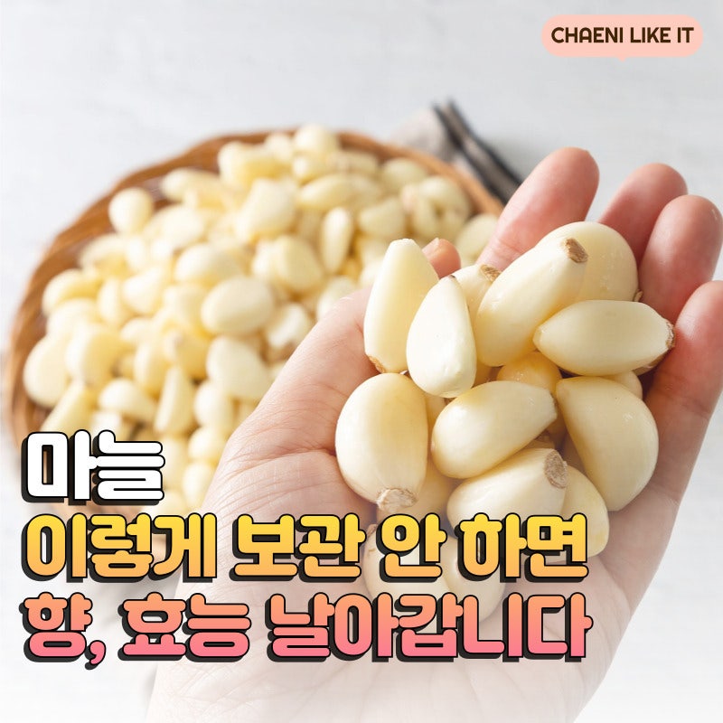 다진마늘,이렇게 보관하면 손해! 초록빛 다진마늘 통마늘 깐마늘 소분 보관 냉장 냉동보관법