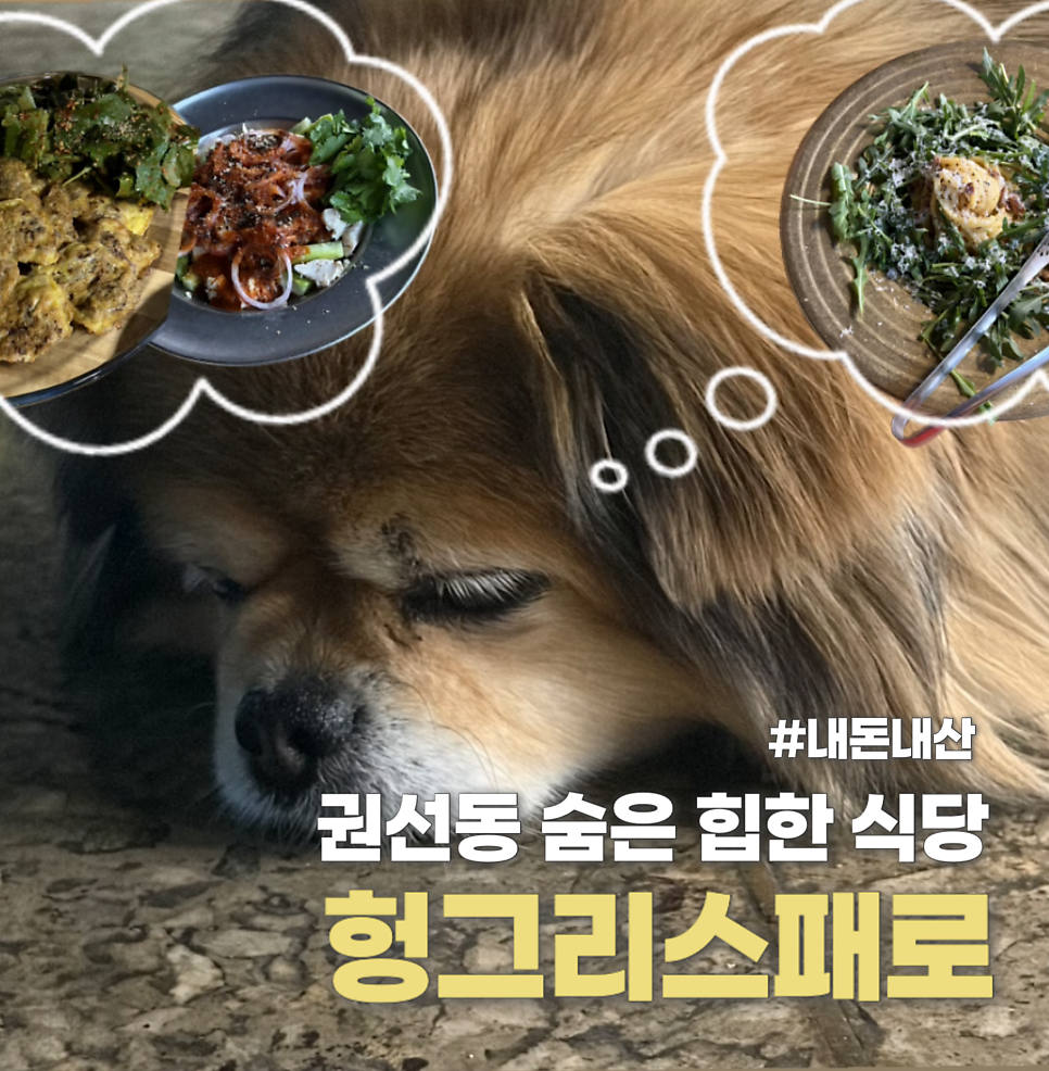 헝그리스패로 사진 1