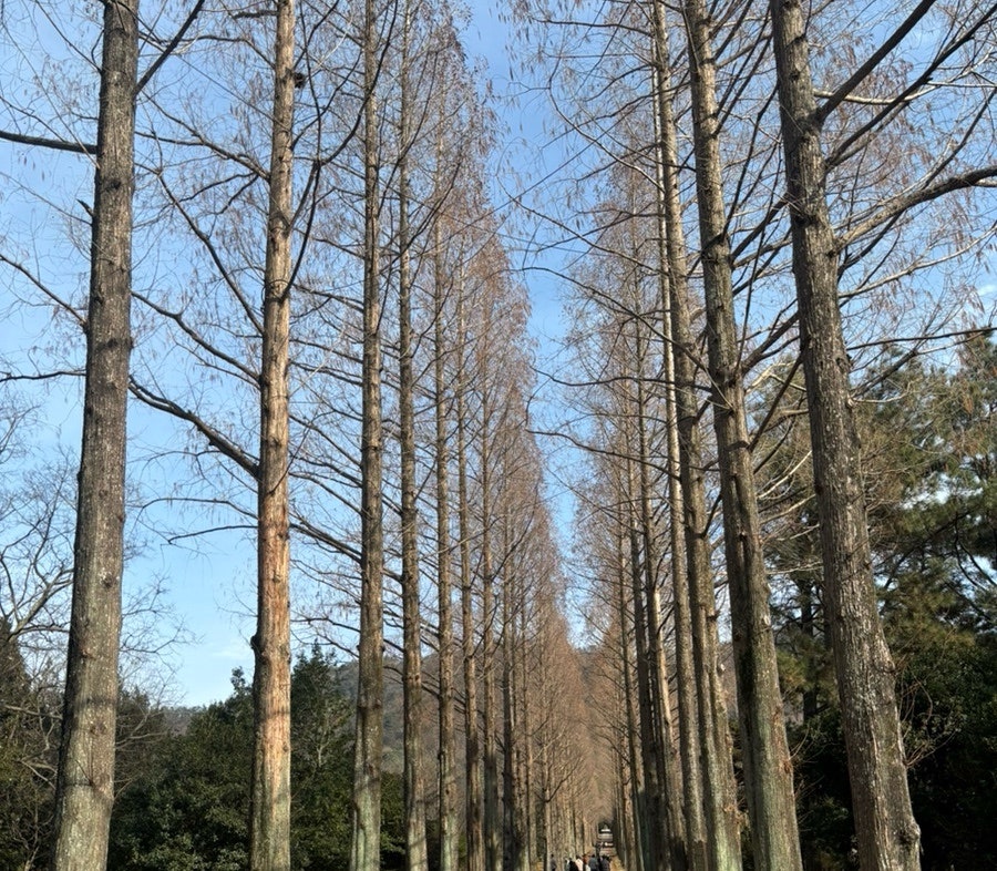 카페림 사진 1