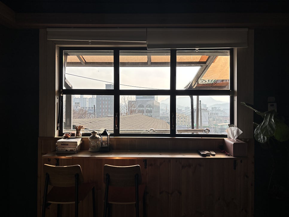 춘심 사진 6