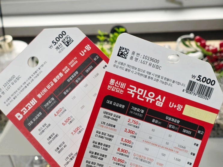 다이소 고고비 유심 활용 엘지 선불폰 개통 방법