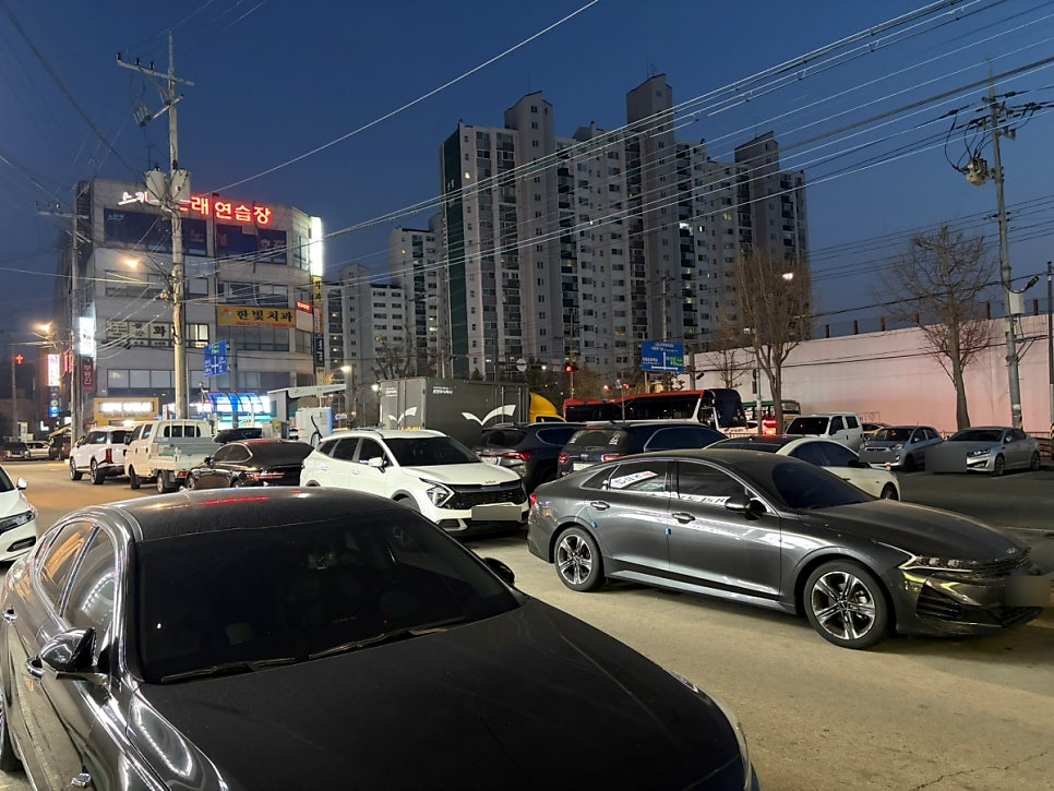 포도나무집 사진 3