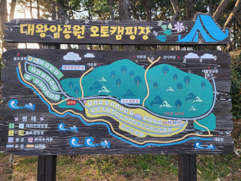 사진 5