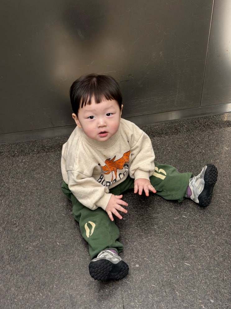  18개월 아기 발달 기록 | 언어 폭발 시기, 사교육 고민과 어린이집 입소 준비