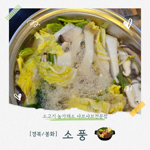 [경북/봉화]봉화맛집 백두대간수목원 근처 맛집 추천 아이, 어른 모두 가기 좋은 샤브샤브 '....